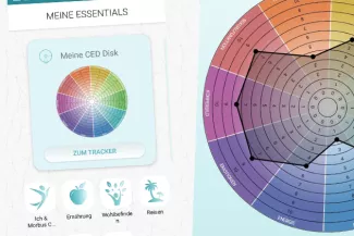 CED Disk